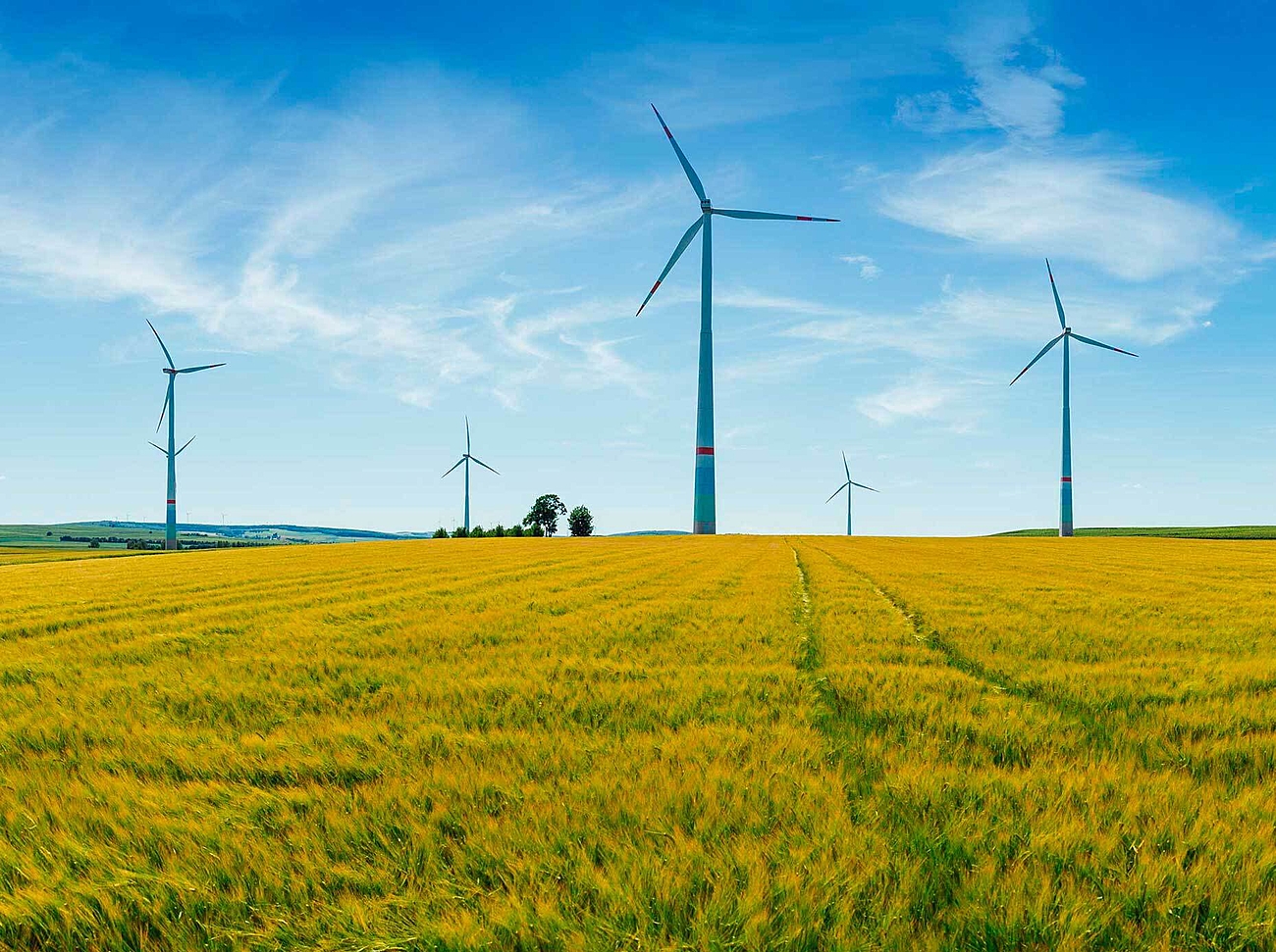 EDF Renewables in Germany EDF Renewables in Germany